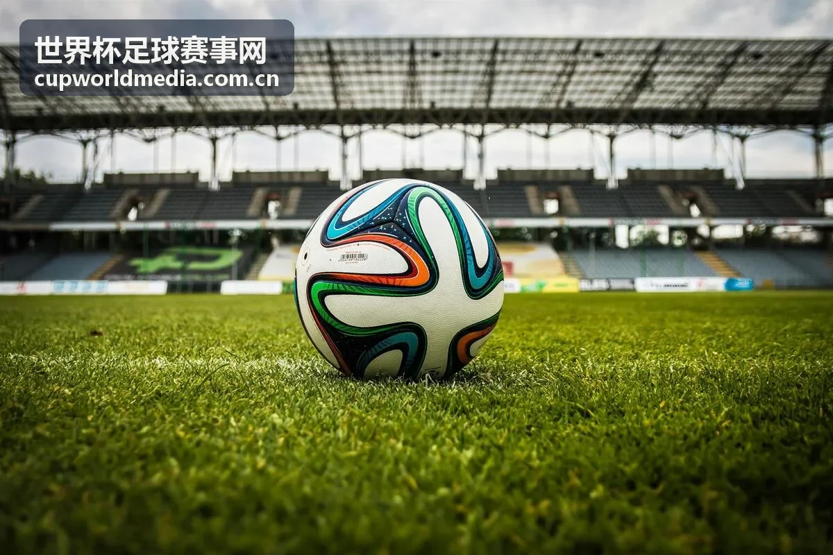 世界杯足球赛事网球队阵容：巴西国家队